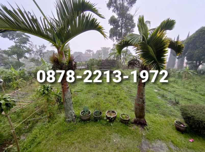 tanah bagus untuk villa dekat ke alun alun lembang