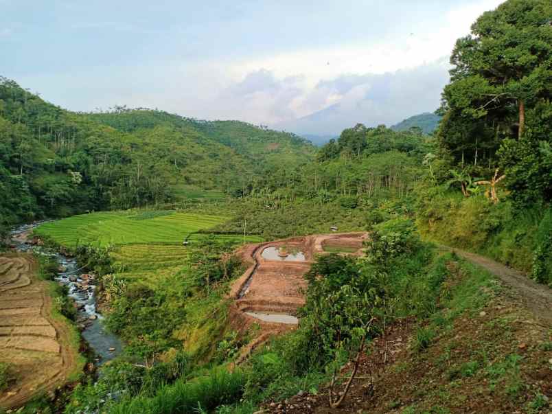 tanah barat pasar kemuning