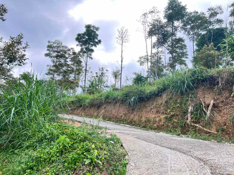 tanah cantik 7000m utara candi cetho karanganyar solo