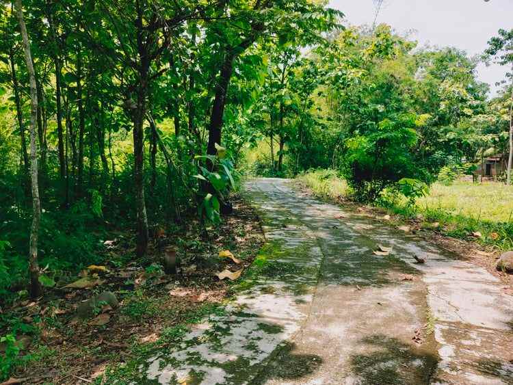 tanah dekat pasar kedawung