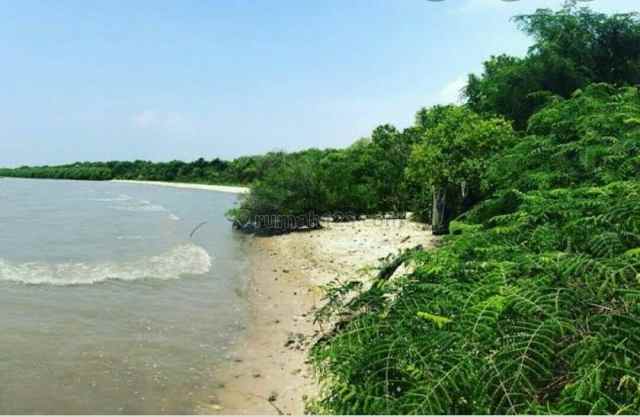 tanah di sawah luhur kasemen kota serang banten