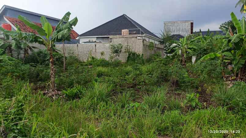 tanah di way kandis luas 300m shm