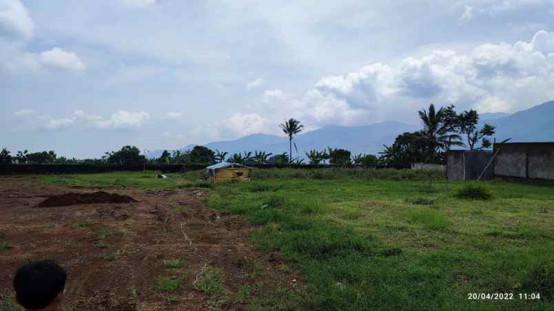 tanah jalan citeko cisarua