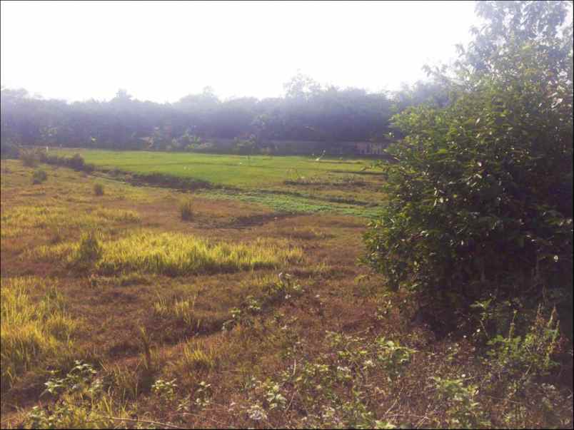 tanah jln raya cikarang