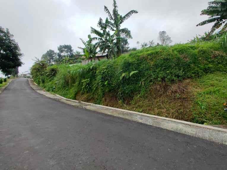 tanah kawasan wisata kebun the