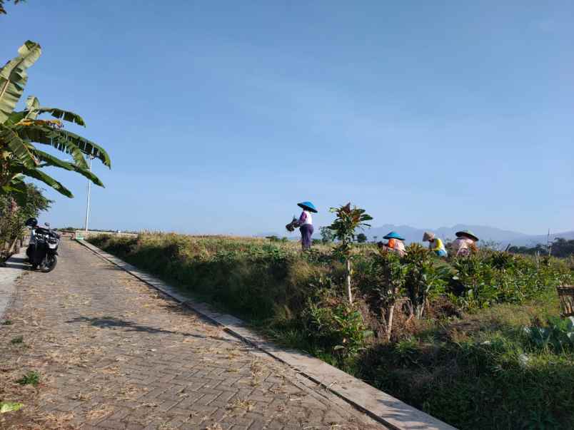 tanah luas murah view pegunungan di junrejo kota batu