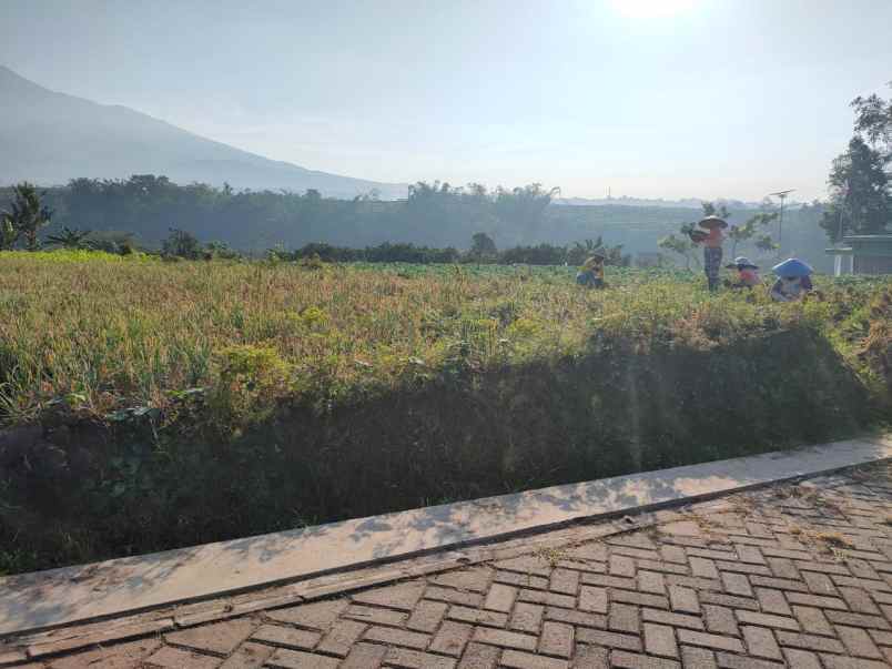 tanah luas murah view pegunungan di junrejo kota batu