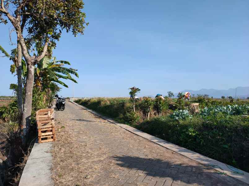 tanah luas murah view pegunungan di junrejo kota batu