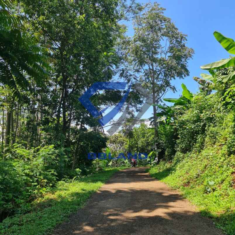 tanah murah di lembang cocok untuk villa dan kebun