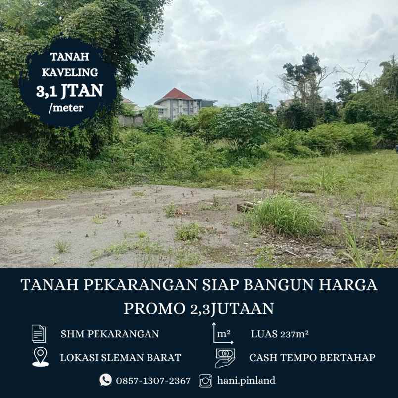 tanah pekarangan belakang kampus uii
