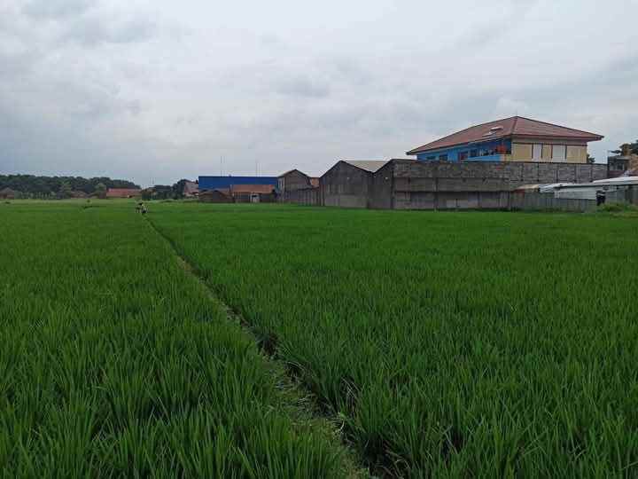 tanah sawah hanya 4 km dari tol cileunyi bandung