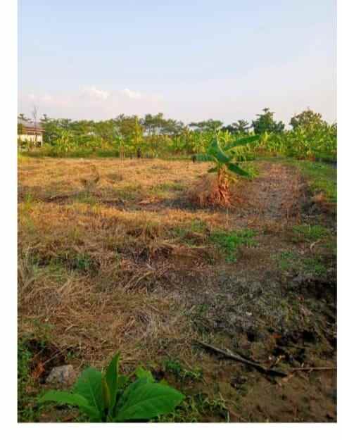 tanah semarang jawa tengah kec