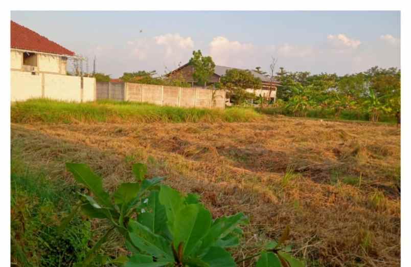 tanah semarang jawa tengah kec