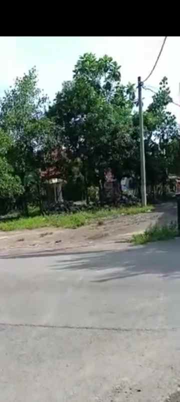 tanah strategis pinggir jl desa
