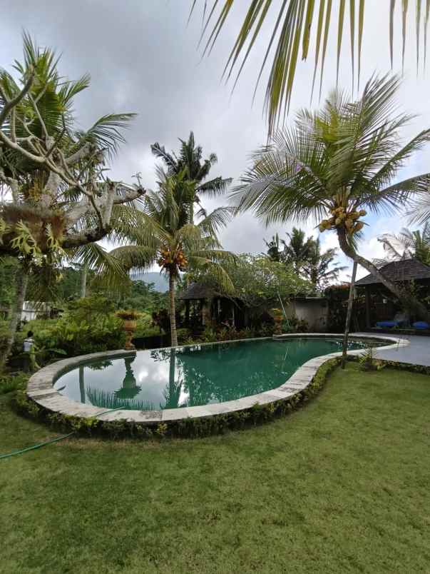 balinese style villa for sale in sidemen