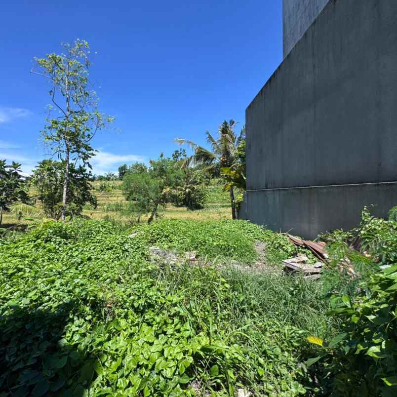 dijual 2 15 are jl kahyangan buduk mengwi badung