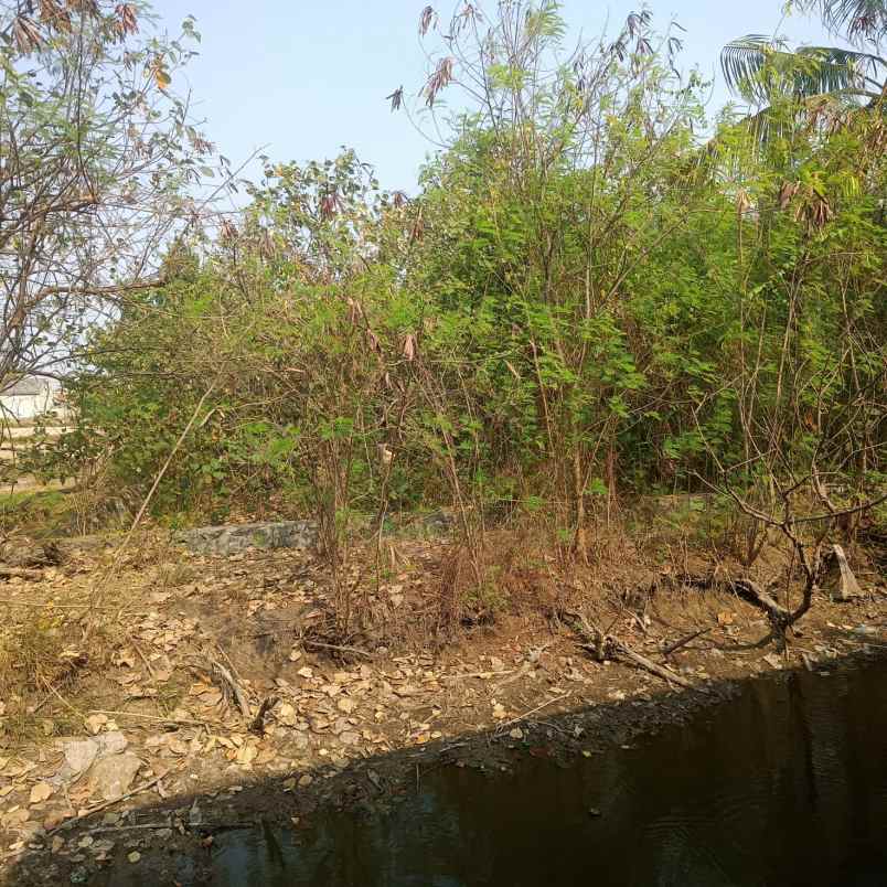 dijual cepat sebidang tanah