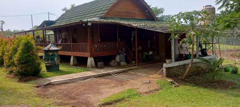 dijual kebun durian premium villa eksklusif siap panen