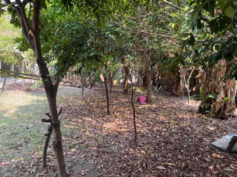 dijual ruko gudang kantor jl raya usman sadar gresik