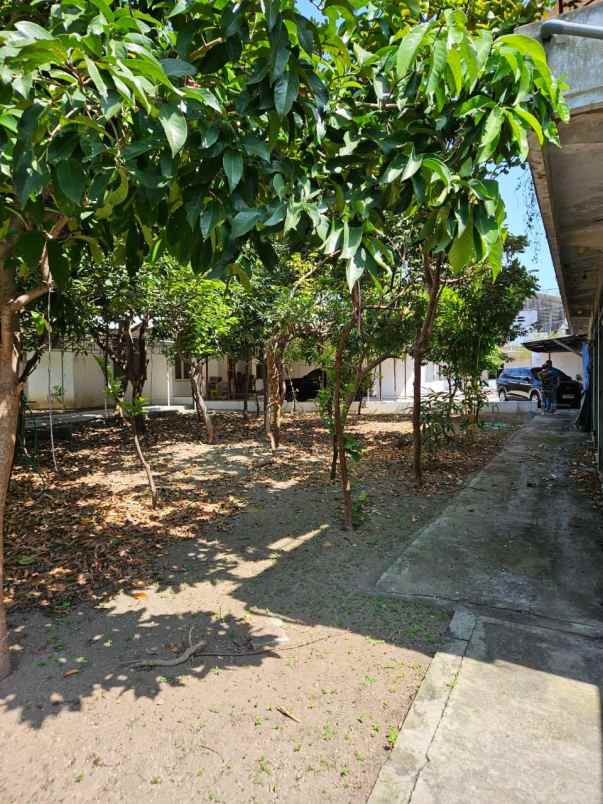 dijual ruko gudang kantor jl raya usman sadar gresik