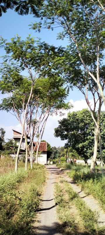 dijual rumah karangmojo rt 12 rw 004