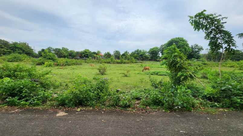 dijual tanah balangan jimbaran bali