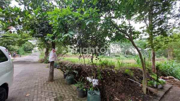 dijual tanah bandara palmerah