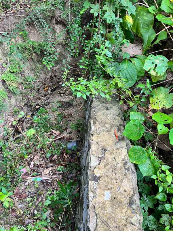 dijual tanah bangunjiwo kasihan bantul