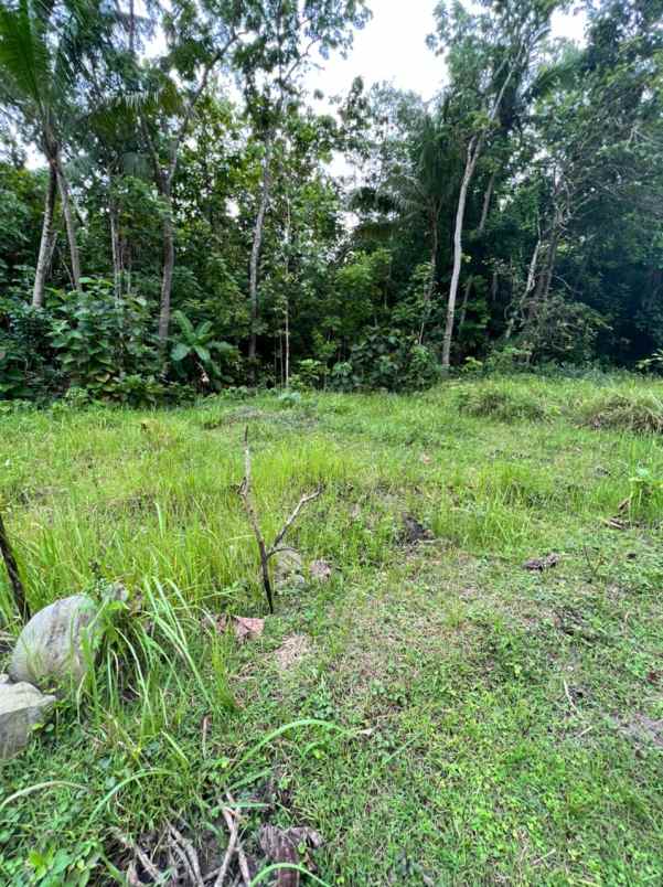 dijual tanah bangunjiwo kasihan bantul