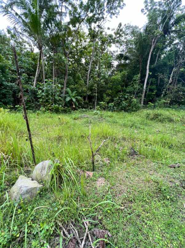 dijual tanah bangunjiwo kasihan bantul