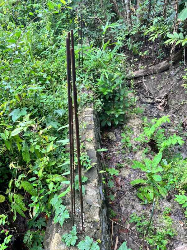 dijual tanah bangunjiwo kasihan bantul