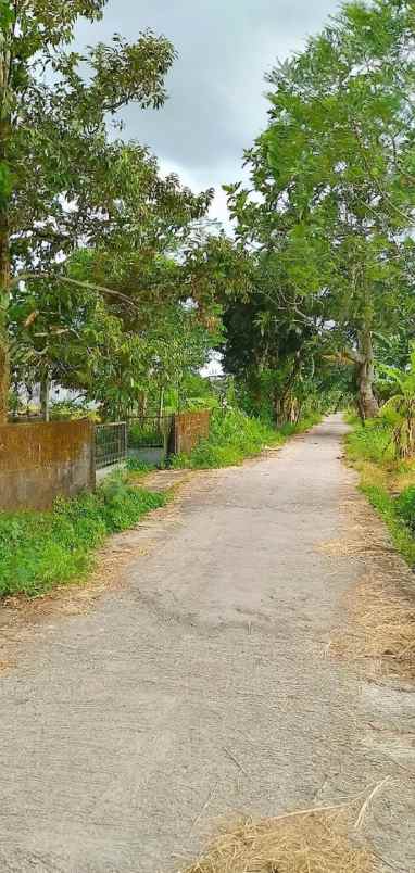 dijual tanah bromonilan purwomartani