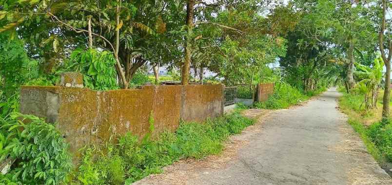 dijual tanah bromonilan purwomartani