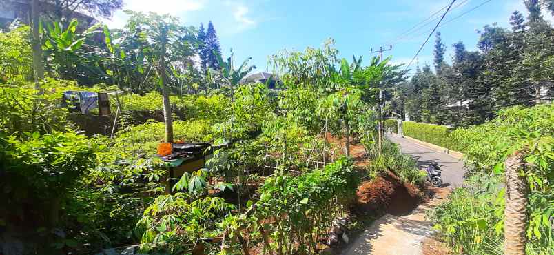 dijual tanah bukit pakar timur