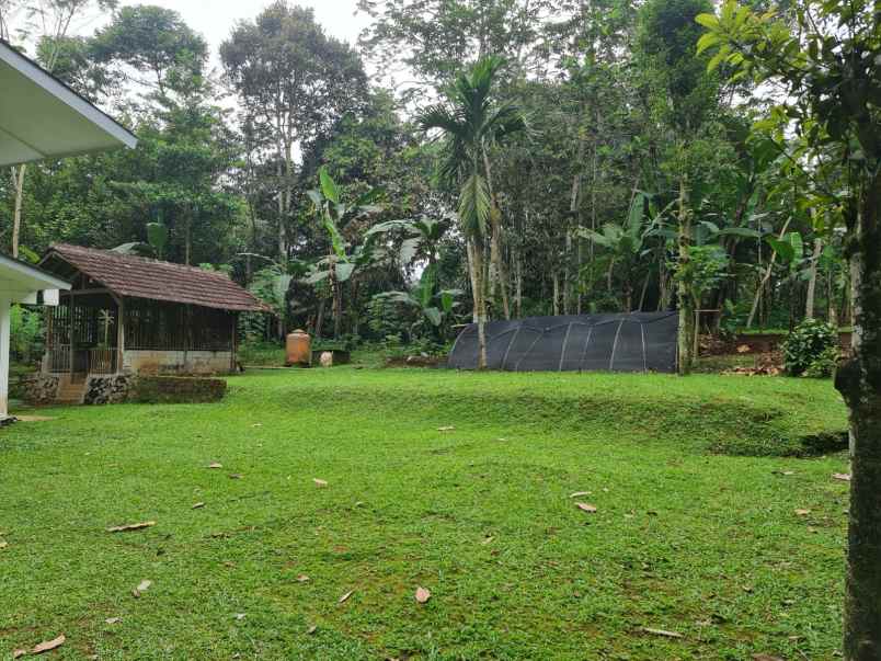 dijual tanah cicurug