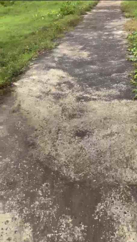 dijual tanah desa selemadeg kec