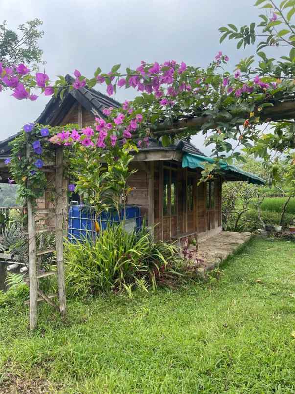 dijual tanah gunung bunder pamijahan