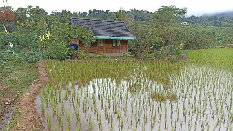 dijual tanah gunung bunder pamijahan