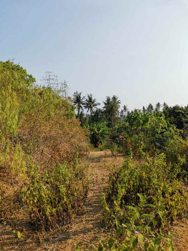 dijual tanah jalan bias tugel beach