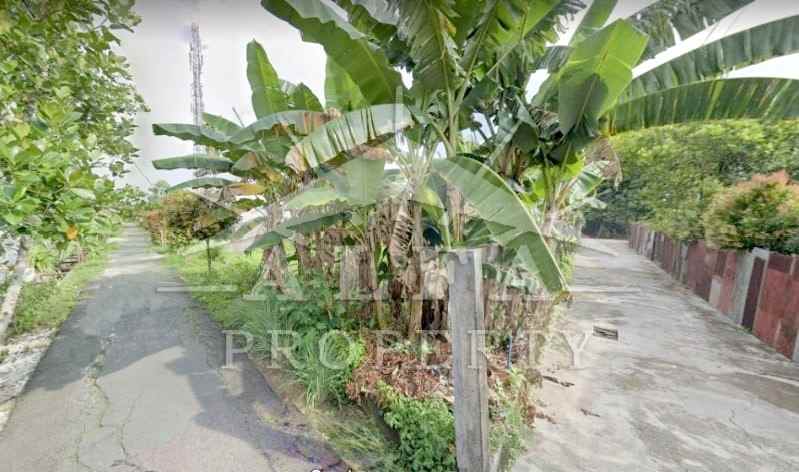 dijual tanah jalan purnama gang dinasti kota pontianak