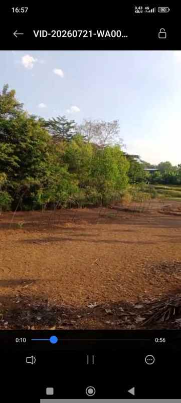 dijual tanah jeruk sawit