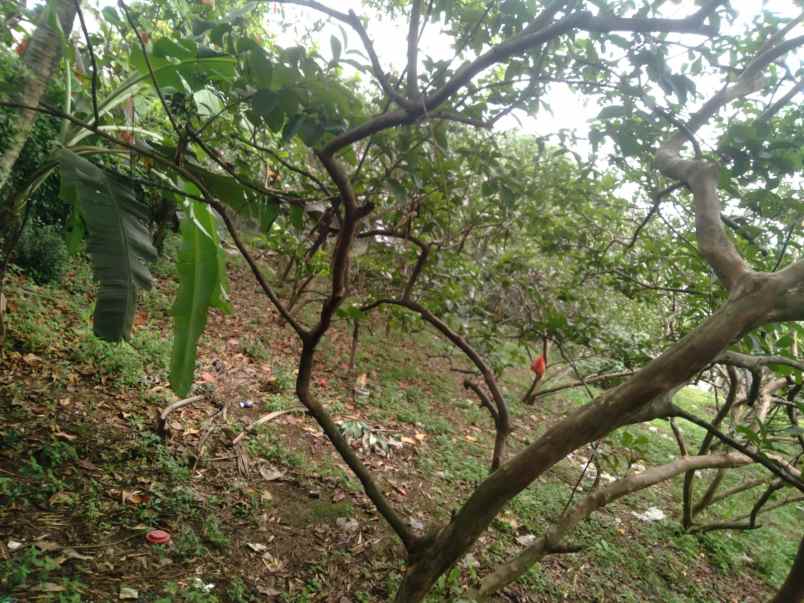 dijual tanah jl bedahan terrace