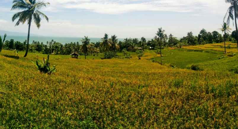 dijual tanah jl cirenik karangpapak