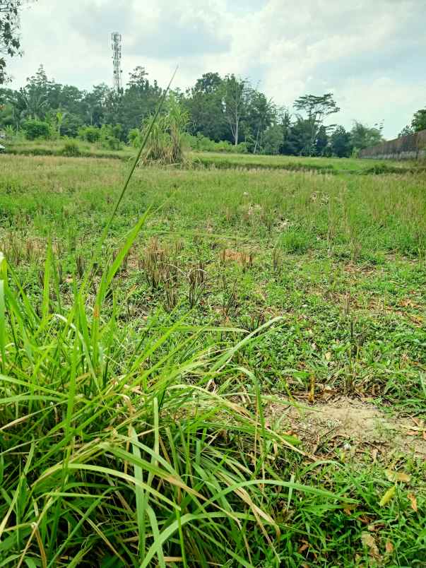 dijual tanah jl griya taman asri sleman