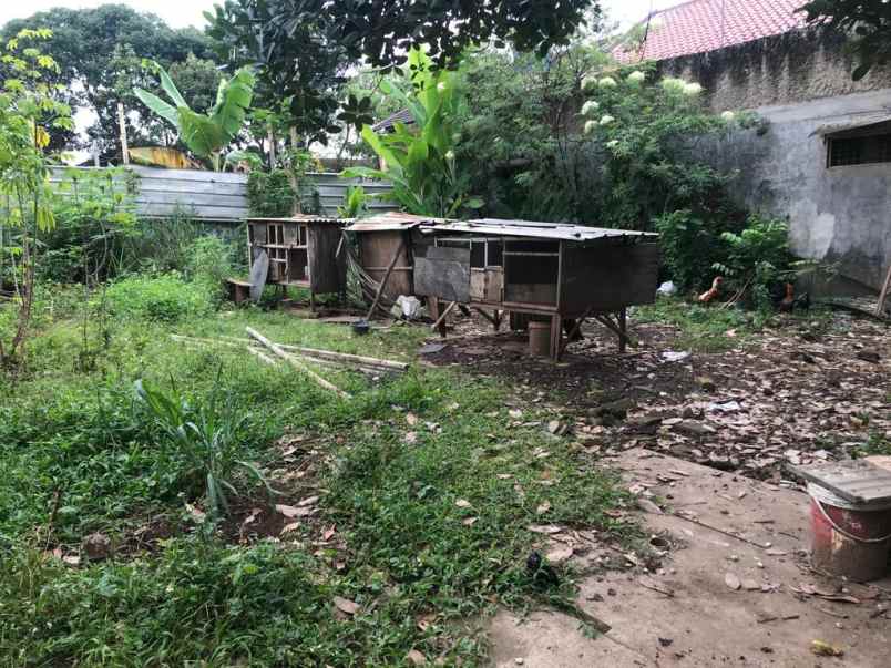 dijual tanah jl nurpai citeureup