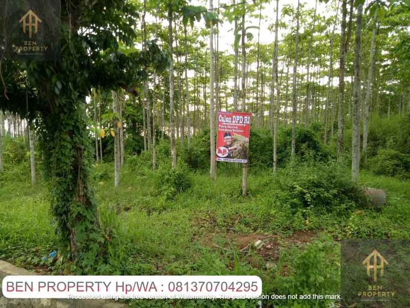dijual tanah jl soekarno hatta kalianda