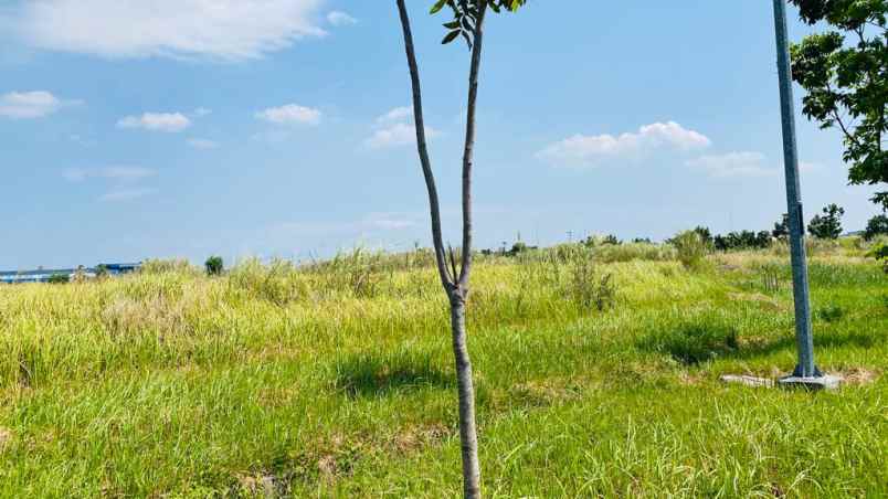 dijual tanah karawang