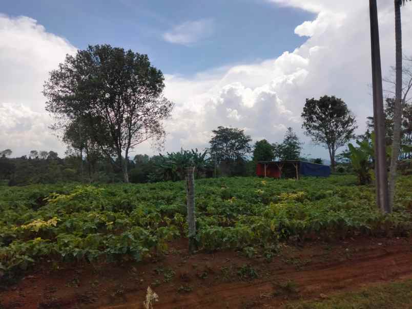 dijual tanah mandalasari