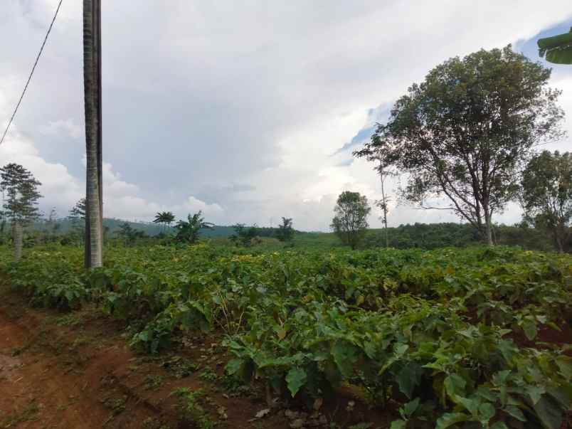 dijual tanah mandalasari