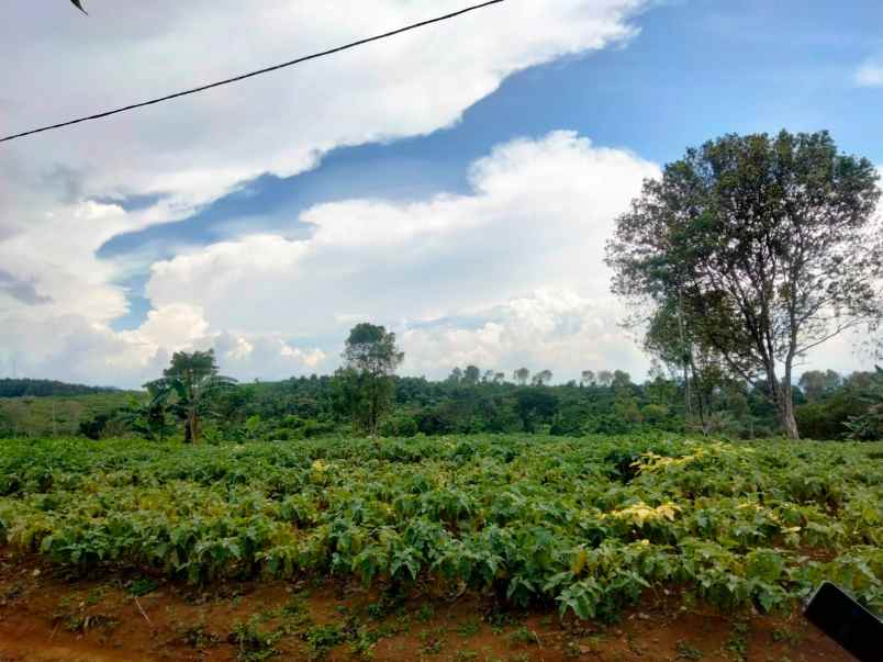 dijual tanah mandalasari